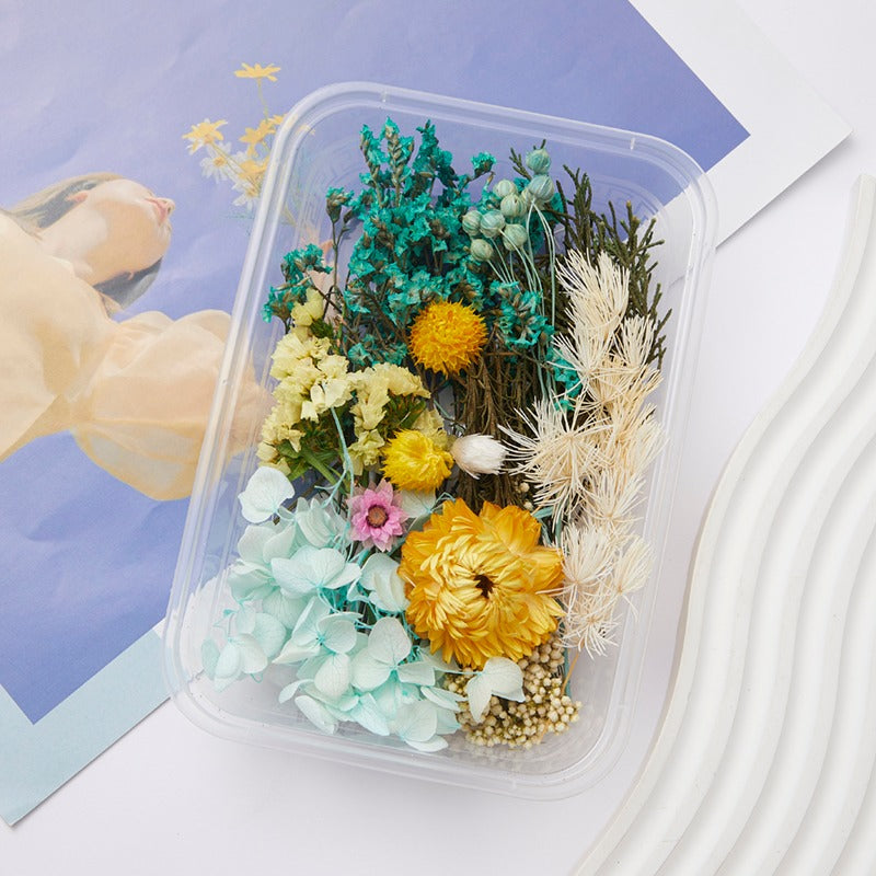 Wholesale DIY Handmade Mixed Dried Flowers Boxed Material Package Real Flowers Natural Air-dried Decorative Ornaments Dripping Glue Flower Material